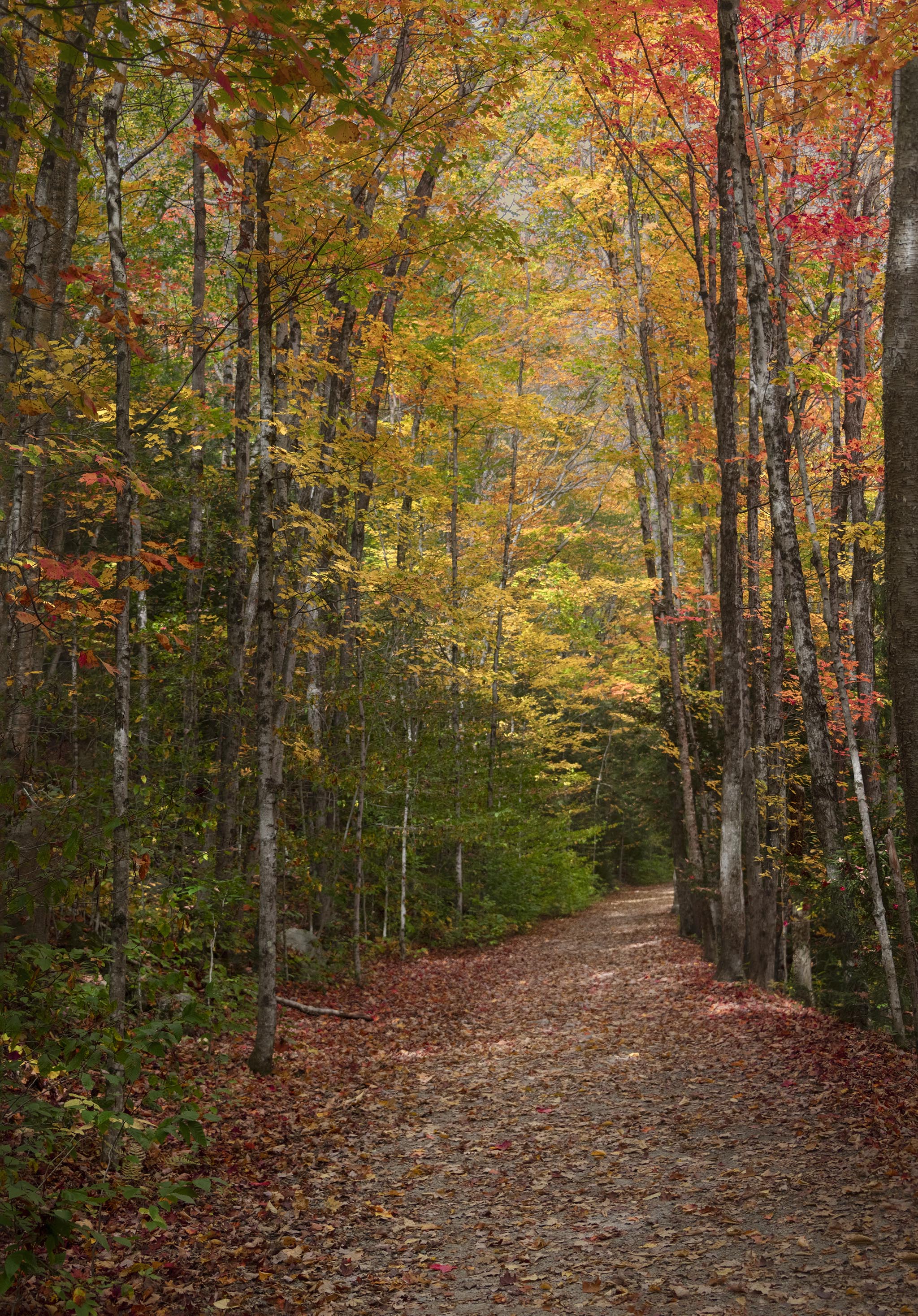 Stop along Kancamangus Highway in Fall