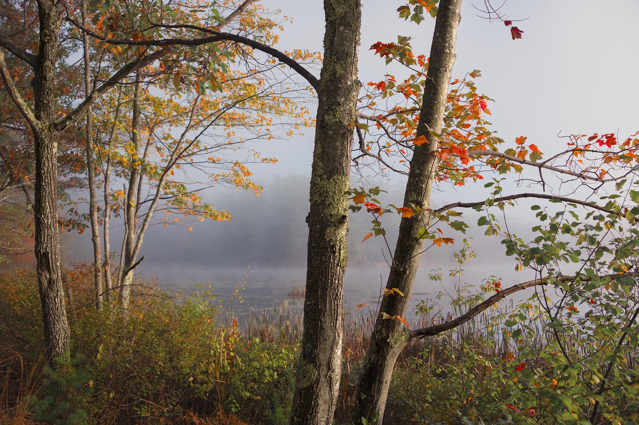 Hermit Lake New Hampshire in Fall