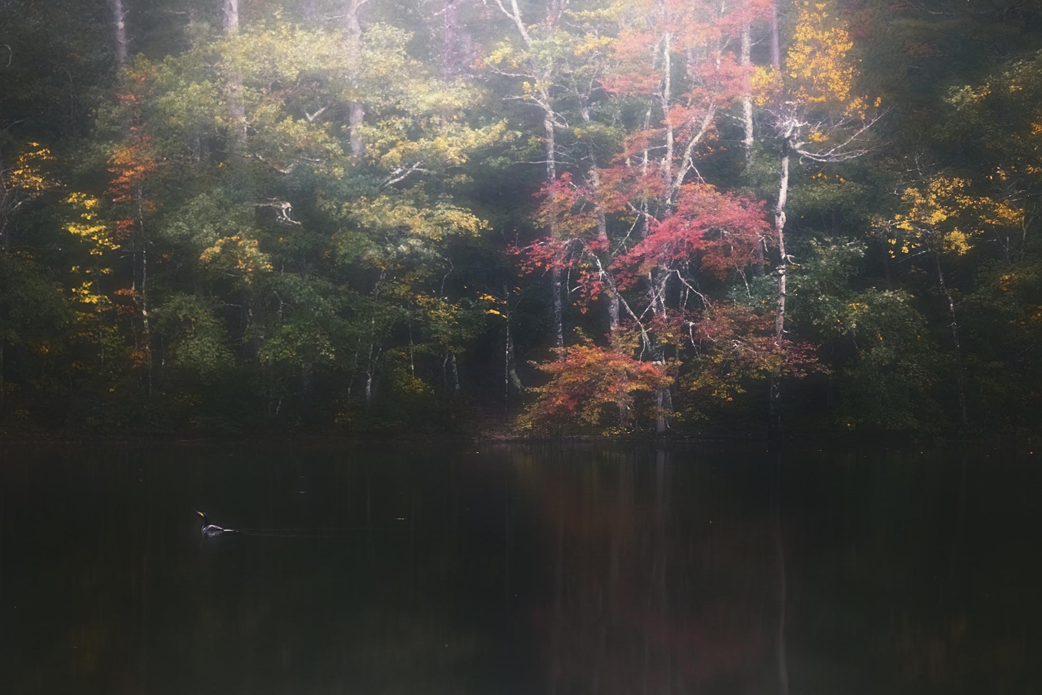 Echo Lake in New Hampshire