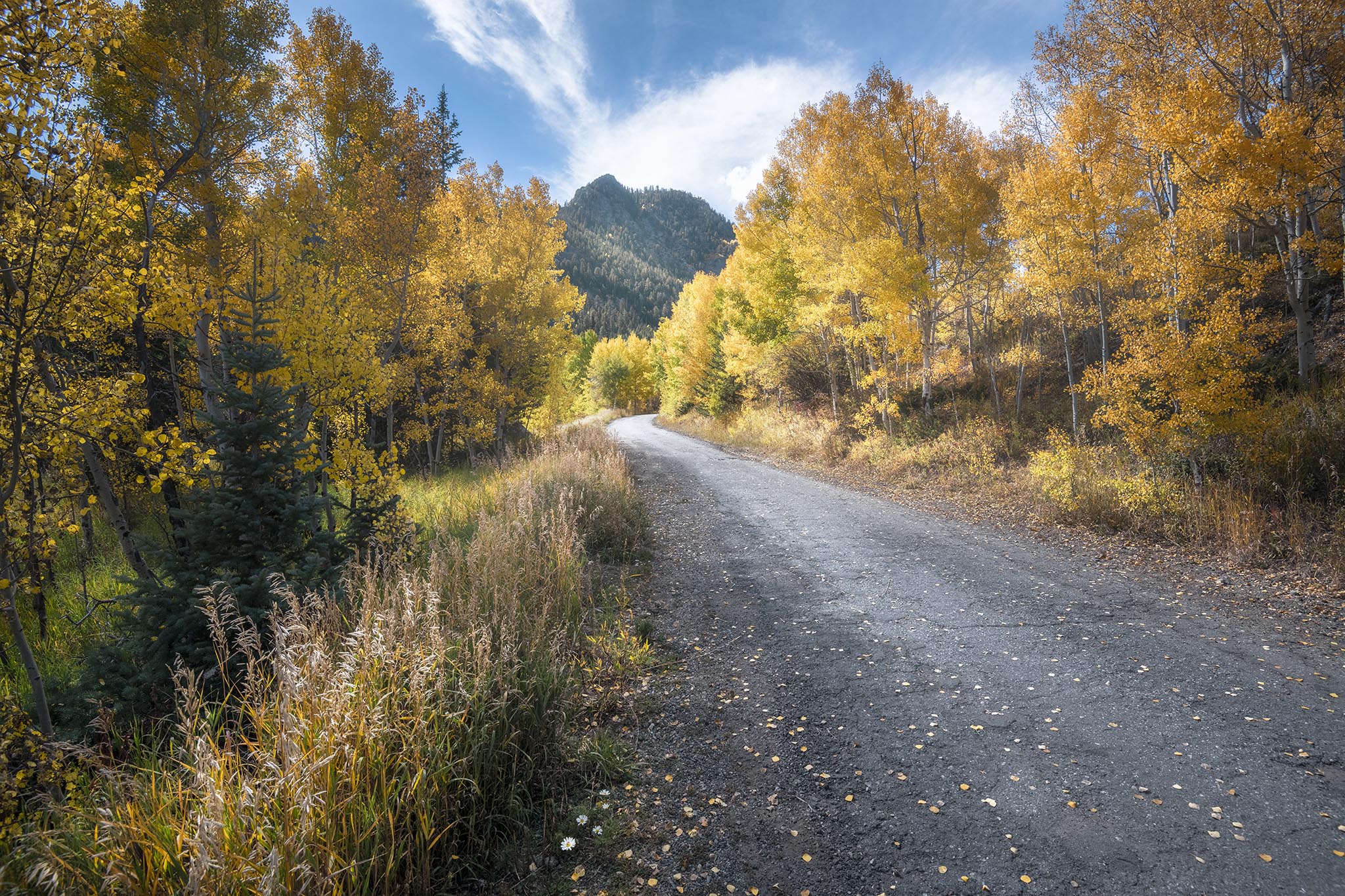 Gravel Road in Canada During Fall