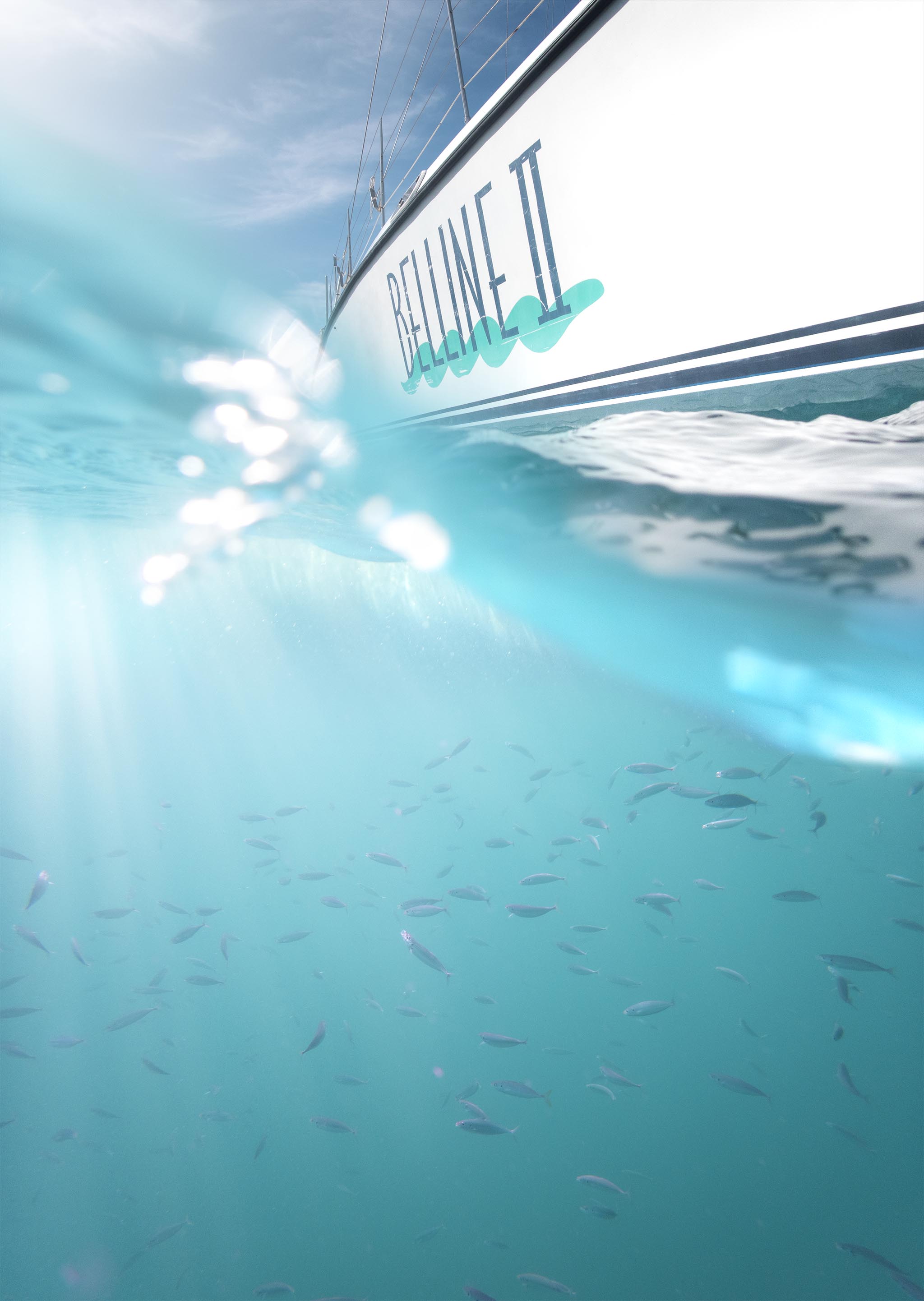 School of Fish under boat