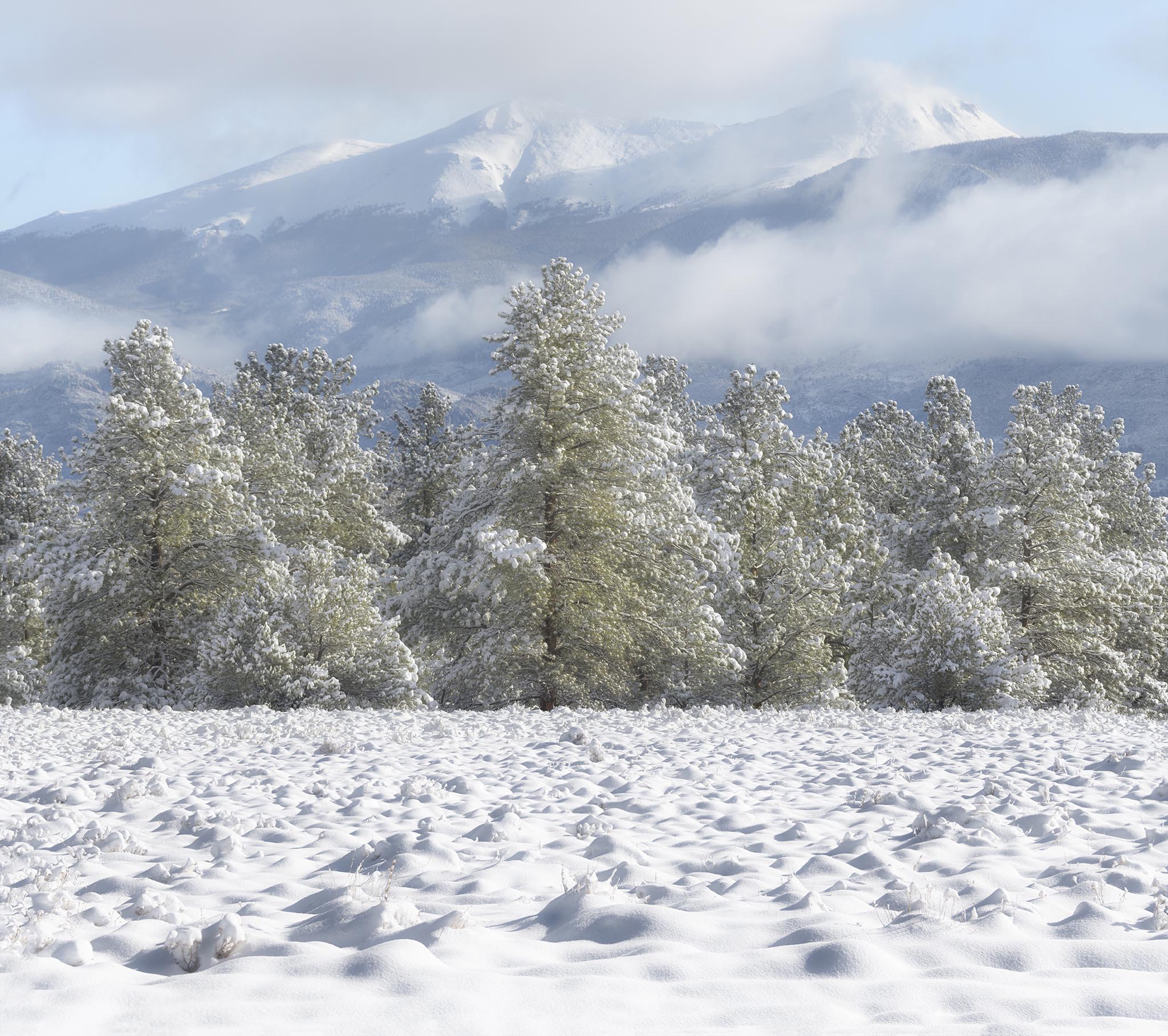 Fresh Snow in Mountains Picture