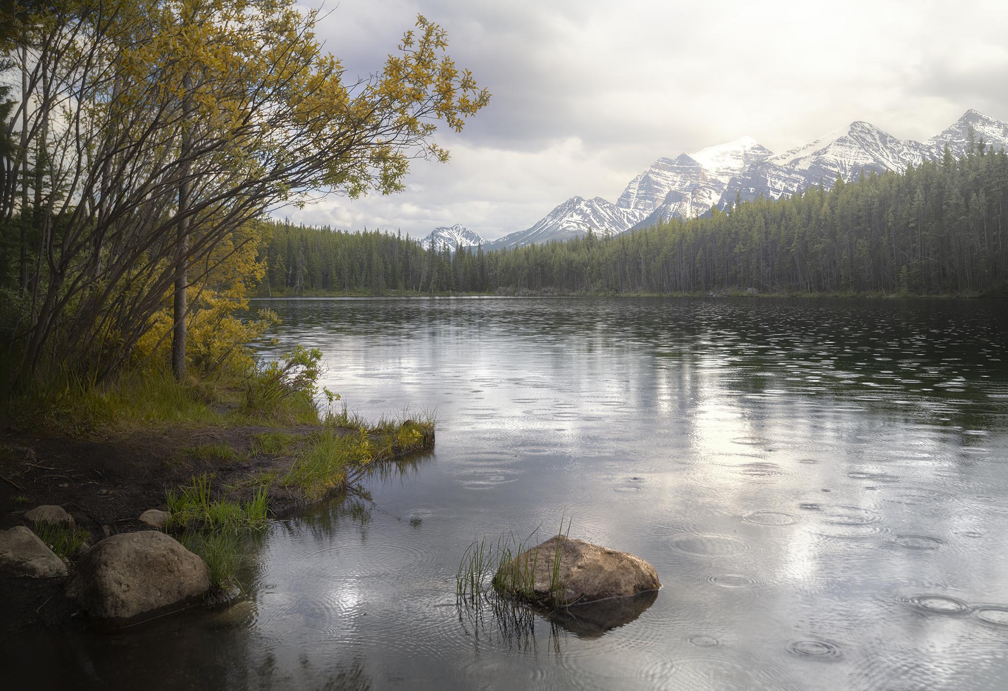 Herbert Lake in Banff National Park