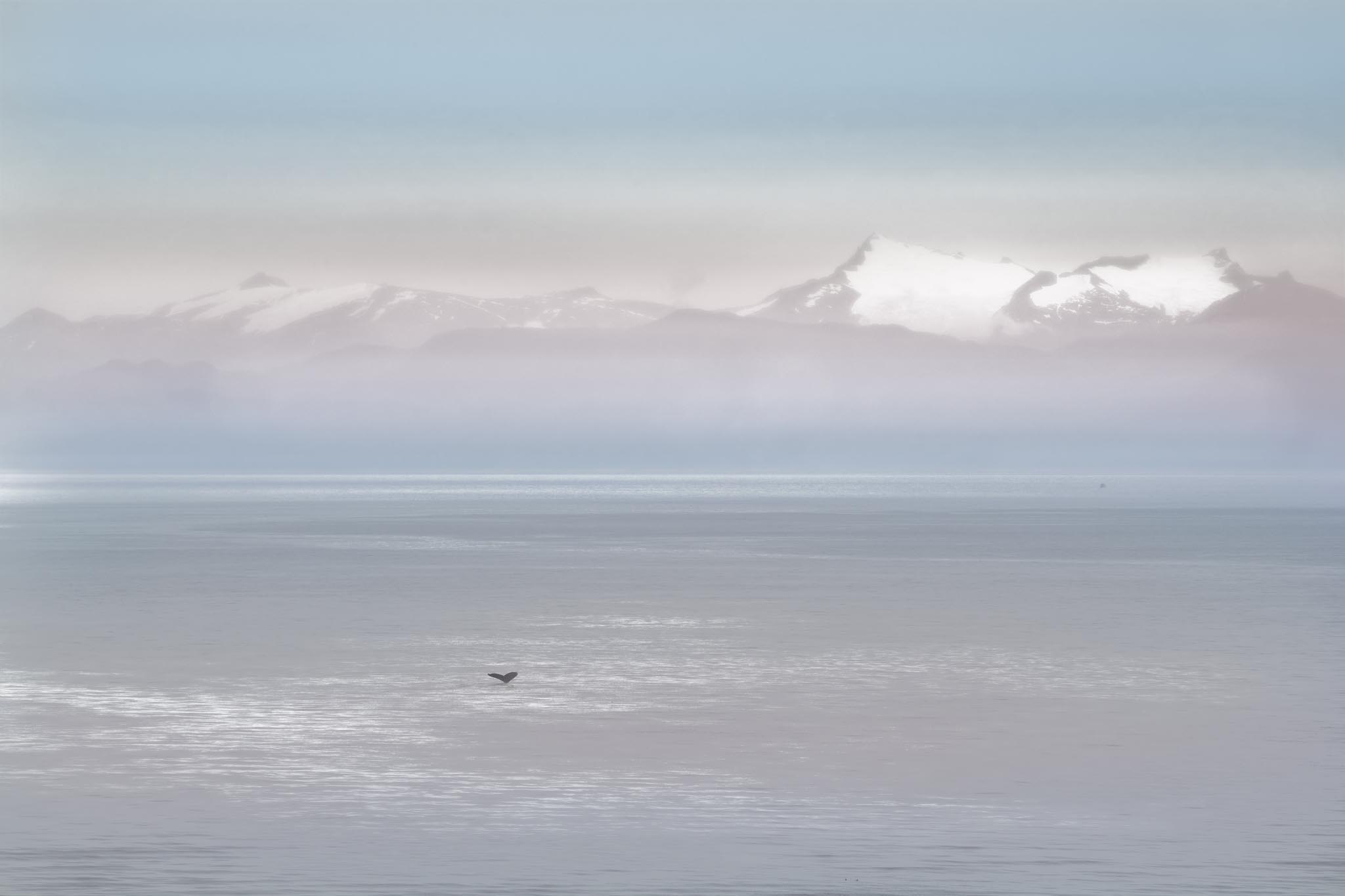 Picture of light blue water and whale tale