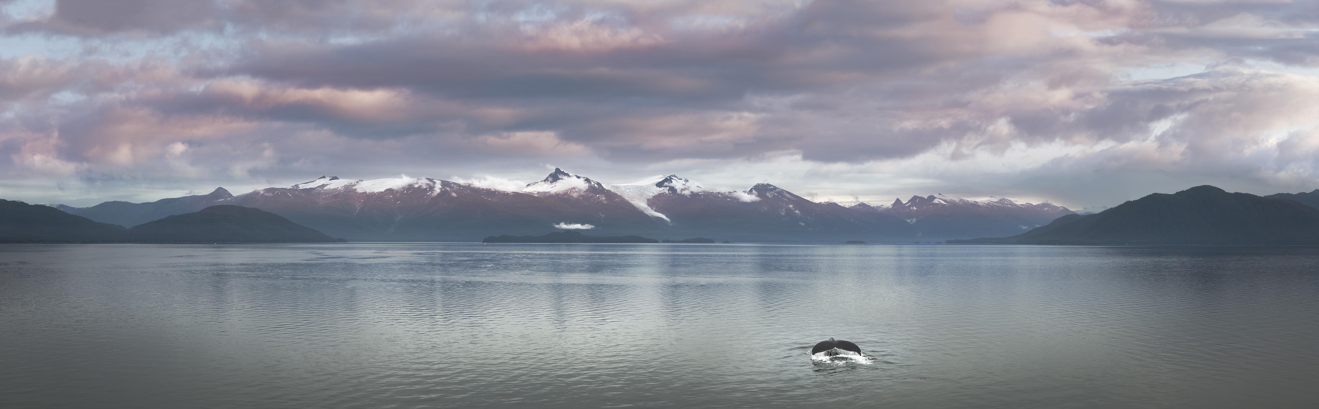 Picture of Whale Tail and Mountains