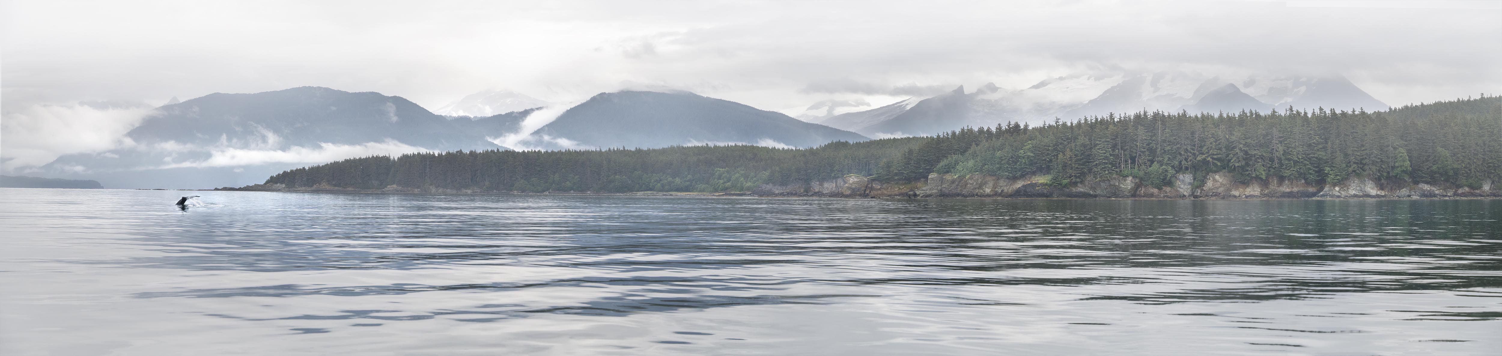 Extra wide panorama of whale tail and Alaska landscape