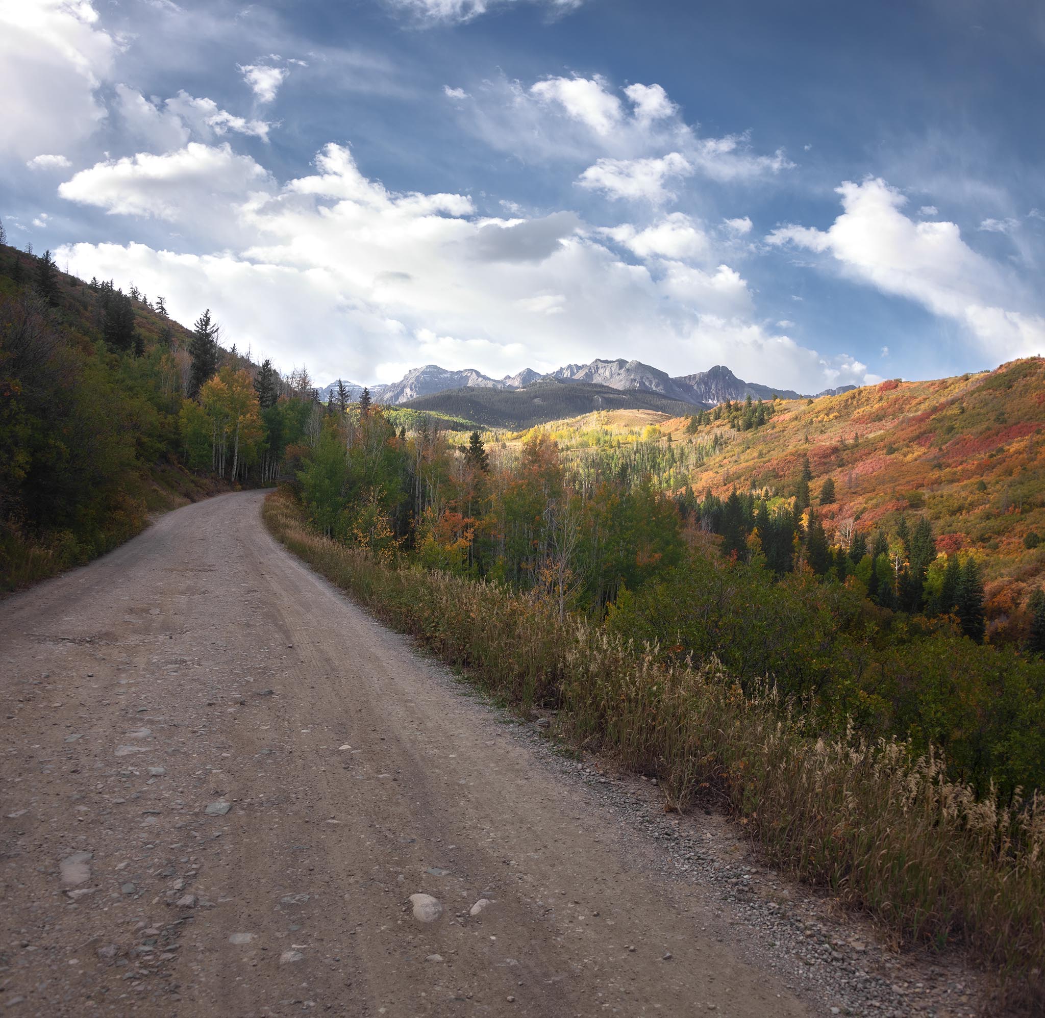 Fall colors revealed in Colorado