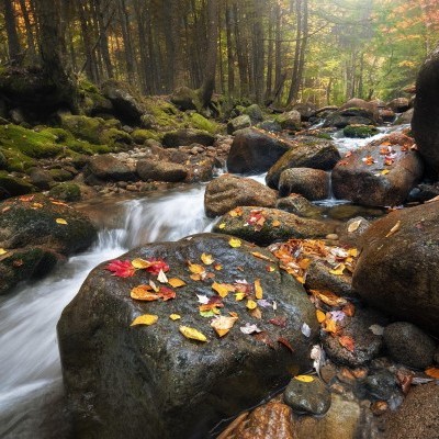 Autumn Scenes in New Hampshire